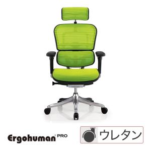 エルゴヒューマン プロ ハイタイプ ファブリックメッシュグリーン EHP-HAM-KMD34 Ergohuman Pro エルゴヒューマン プロ ハイタイプ ファブリックメッシュグリーン EHP-HAM-KMD34 Ergohuman Pro