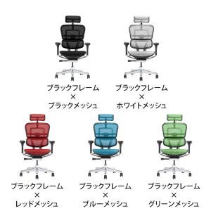 エルゴヒューマン プロ2 Ergohuman ...の詳細画像1