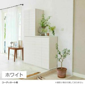 シューズボックス 下駄箱 ダンパー付扉 樹脂棚...の詳細画像2