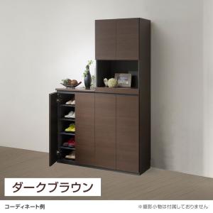 シューズボックス 下駄箱 ダンパー付扉 樹脂棚...の詳細画像3