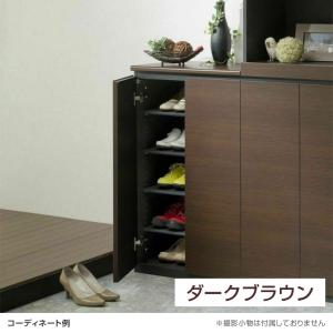 シューズボックス 下駄箱 ダンパー付扉 樹脂棚...の詳細画像4