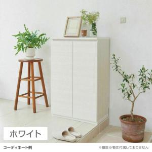 シューズボックス 下駄箱 ダンパー付扉 樹脂棚...の詳細画像5