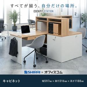 キャビネット システムキャビネット 収納棚 可...の詳細画像5