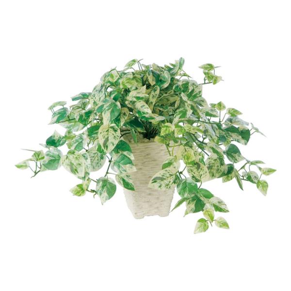 観葉植物 人工 樹木 ミニマーブルポトス 高さ250mm 卓上サイズ 鉢:Pスクエア(WH)