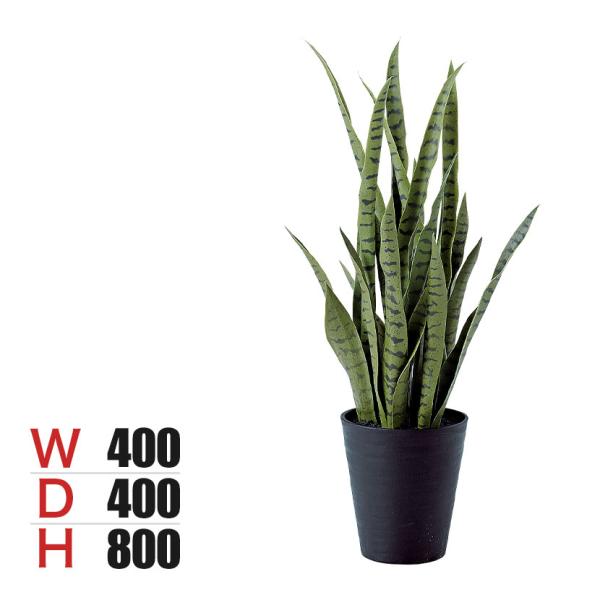 観葉植物 人工樹木 フェイクグリーン 造花 サンスベリア グリーン 高さ800mm 鉢:SA-7(B...