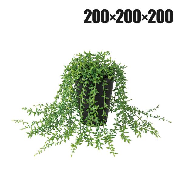 観葉植物 人工樹木 フェイクグリーン 造花 グリーンネックレス 高さ200mm 鉢:SA-4(BK)...
