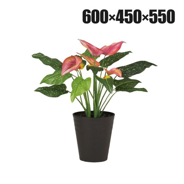 観葉植物 人工樹木 フェイクグリーン 造花 カラー 高さ550mm 鉢:SA-6(BK) 卓上