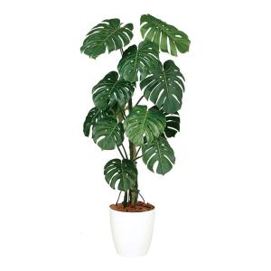 観葉植物 フェイクグリーン 人工 樹木 ベンジャミナスターライト