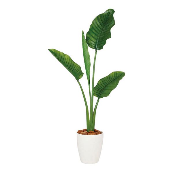 観葉植物 フェイクグリーン 人工 樹木 ストレリチア・オーガスタ 高さ1300mm Sサイズ 鉢:R...