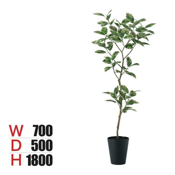 観葉植物 人工樹木 フェイクグリーン 造花 デコラトリカラー FST 高さ1800mm 鉢:SA-1...