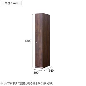 TML 木製ロッカー1人用 BR 鍵付き 幅3...の詳細画像3