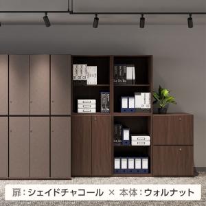 Variest 書庫 開き扉 上置き ハイグレ...の詳細画像3