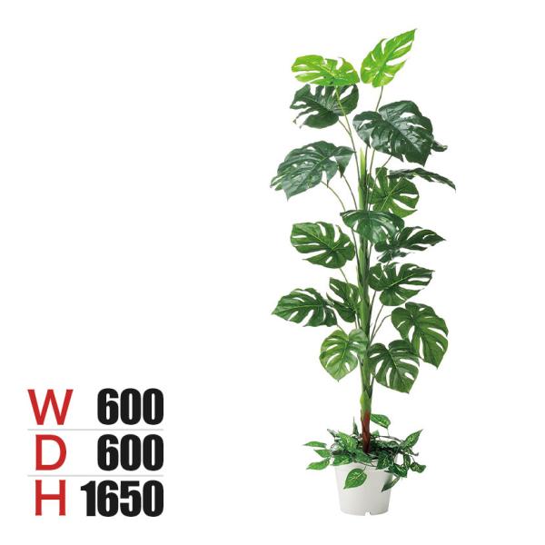 観葉植物 人工樹木 フェイクグリーン インテリアグリーン 造花 モンステラ 高さ1650mm