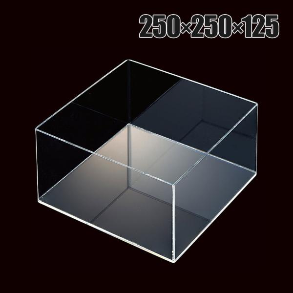 透明アクリル5面ボックス 収納ケース 収納ボックス 化粧品 小物 幅250mm角×高さ125mm 店...