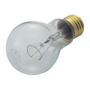 TRUSCO 耐震球 100W TK100W