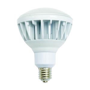 オプション 日動 LED交換球 ハイスペックエコビック40W E39 昼白色 本体白 L40V2J1...