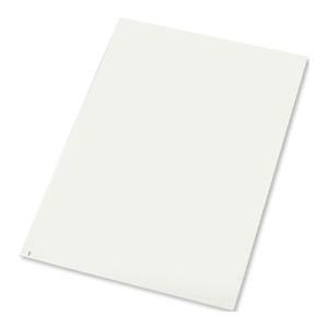 AS エコノミー粘着マット 強粘着 靴裏の埃除去 幅600×長さ1200mm 白 (10シート入)