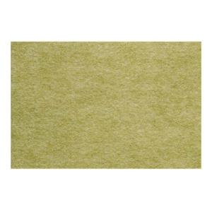 ワタナベ エコパンチカーペット 幅0.91×長さ20m