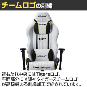 AKRacing(エーケーレーシング) AKレ...の詳細画像1