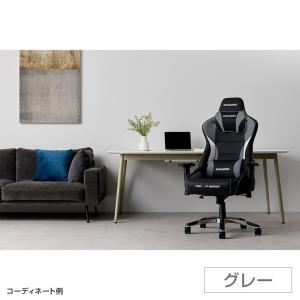 グレー7月下旬入荷 AKレーシング AKRac...の詳細画像2