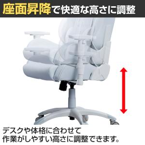 AKRacing エーケーレーシング AKレー...の詳細画像4