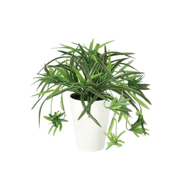 オリヅルラン G　W30 × D30 × H30cm　フェイクグリーン 人工観葉植物 移転祝い