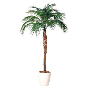 神戸花物語 メーカー直送｜人工観葉植物 大型 フェニックス