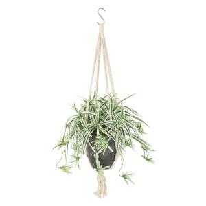 オリヅルラン W/G 幅30 × 奥行30 × 高さ25 × 長さ30cm （約75cm） フェイクグリーン オフィスグリーン 観葉植物 フェイクの商品画像