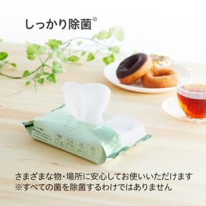 プラス PLUS 除菌ウエットティッシュ アル...の詳細画像2