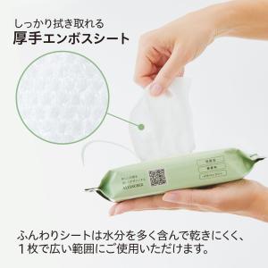 プラス PLUS 除菌ウエットティッシュ アル...の詳細画像3