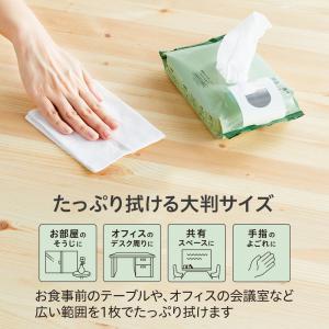 プラス PLUS 除菌ウエットティッシュ アル...の詳細画像4