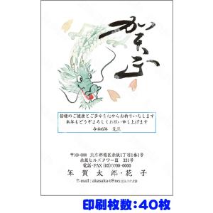 全328柄 2024年度版 卯年 郵政お年玉付き年賀はがき(官製年賀葉書) 年賀状印刷 40枚 フルカラー年賀状 207pr_40 8337561｜officeland