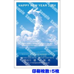 全328柄 2024年度版 卯年 郵政お年玉付き年賀はがき(官製年賀葉書) 年賀状印刷 5枚 フルカ...