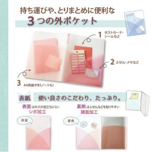 プラス(PLUS) クリアーファイル パスティ...の詳細画像1