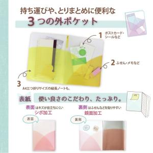 プラス(PLUS) クリアーファイル パスティ...の詳細画像1