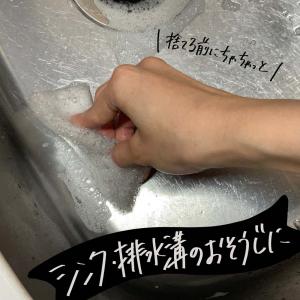 ヒラノトレーディング 使い捨てキッチンスポンジ...の詳細画像2