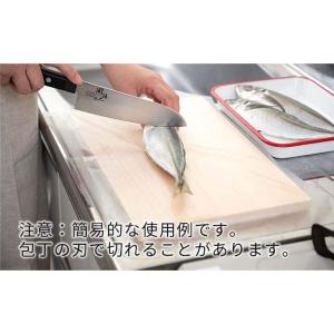 岩谷マテリアル なんでもシート 50枚入り 4...の詳細画像3