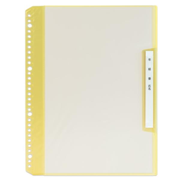 プラス(PLUS) 年組氏名リフィール式クリアファイル タテ入れ 6ポケット (２・４・30穴共有）...