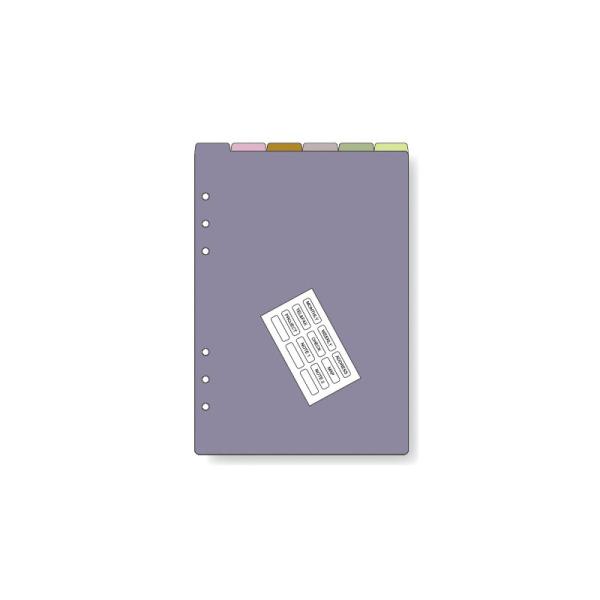 レイメイ藤井 raymay ダヴィンチ A5リフィルカラーインデックス アースカラー [ 6区分 ]...