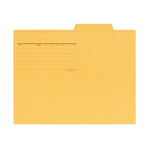 プラス(PLUS)個別フォルダー エコノミー A4-E 10枚入 イエロー FL-081IF 87-...