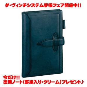 レイメイ藤井 ダ ヴィンチ グランデ ロロマクラシック 聖書サイズシステム手帳 DB3011K ネイビー