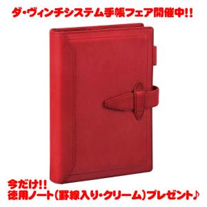 レイメイ藤井 ダ ヴィンチ グランデ ロロマクラシック 聖書サイズシステム手帳 DB3014R レッド