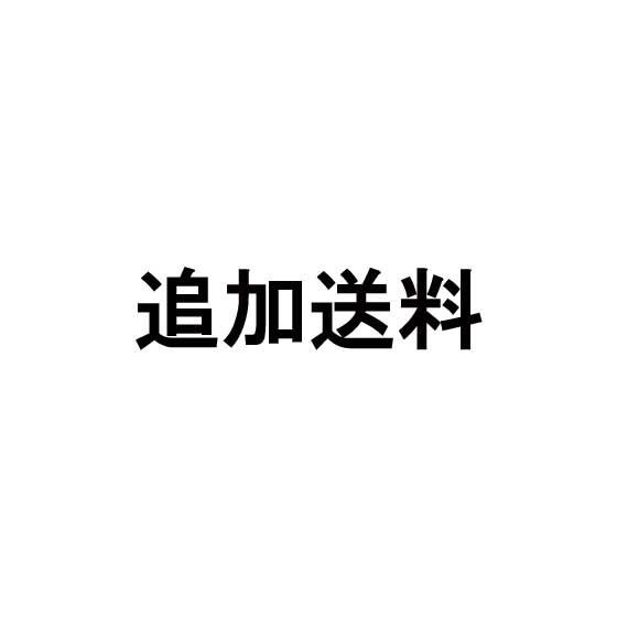 追加送料分　1100円