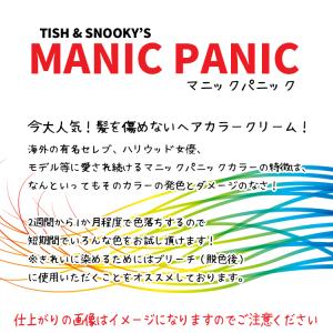 MANIC PANIC マニックパニック ヘア...の詳細画像1