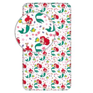 DISNEY Minnie Mouse ディズニー ミニーマウス シングル ボックス