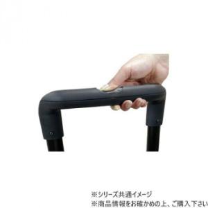 メロディカーゴ スモーキーブルー 494210...の詳細画像1