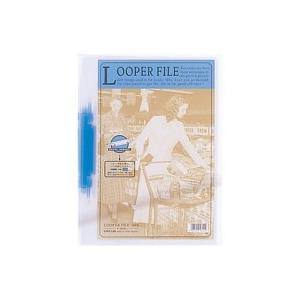 ＬＩＨＩＴＬＡＢ / ルーパーファイル F-3006 A4S 青 / レポートファイル / p539...