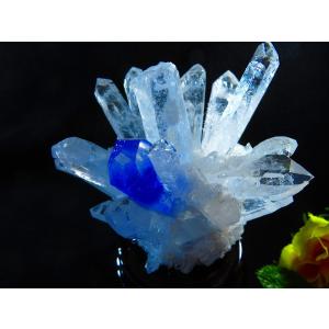 【SWAROVSKI スワロフスキー】葉っぱの上のかたつむり☘ 置物 インテリア SWAROVSKI（スワロフスキー） Swarovski 2004年 廃盤品 置物 ブドウの