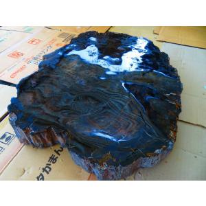 両面研磨☆絶品☆北米アリゾナ産☆化石 珪化木 10000分の1の 三畳紀