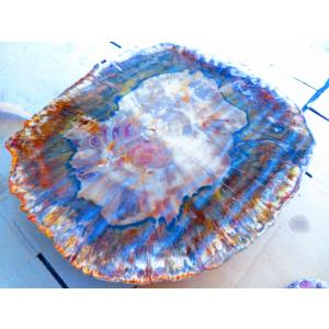 両面研磨☆絶品☆北米アリゾナ産☆化石 珪化木 10000分の1の 三畳紀